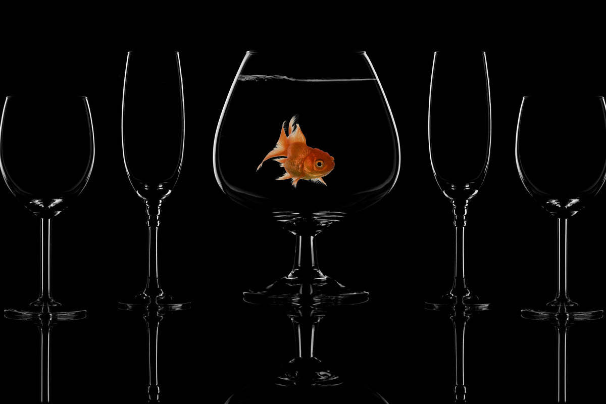 acrylic-print-glass-fish