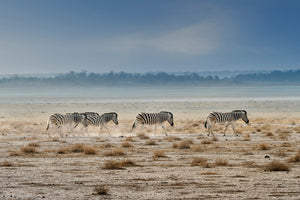 3-piece-aluminium-print-promenade