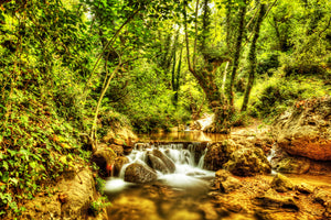 canvas-print-waterfall-in-the-forest