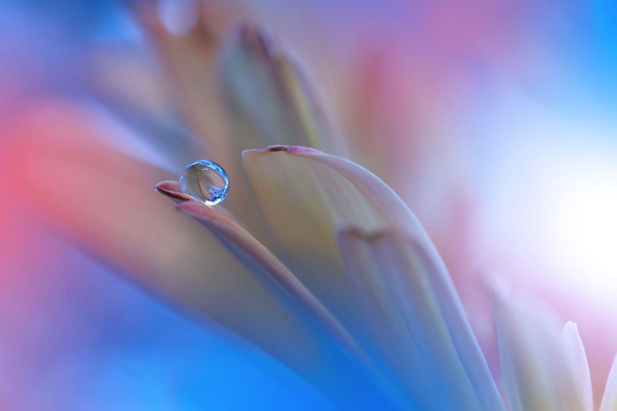 framedcanvas-print-touch-me-softly