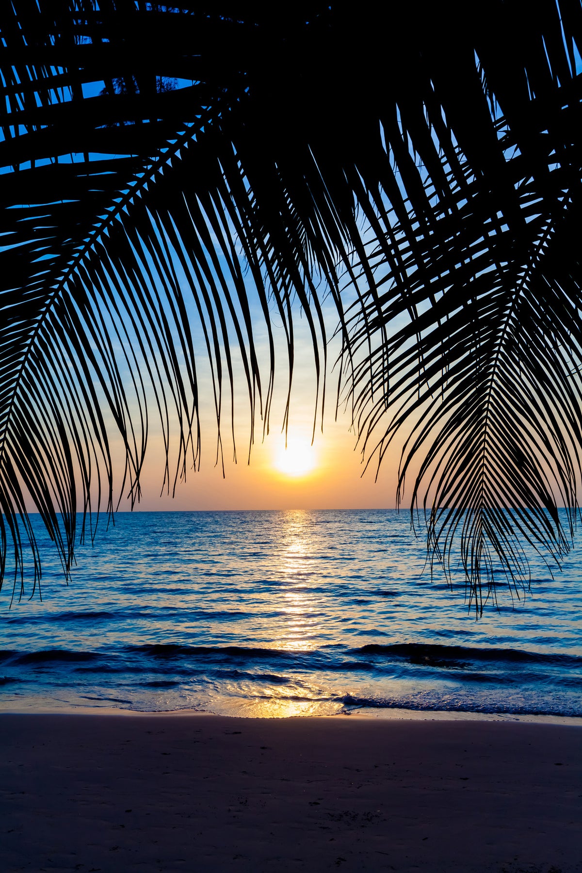 canvas-print-through-the-palm