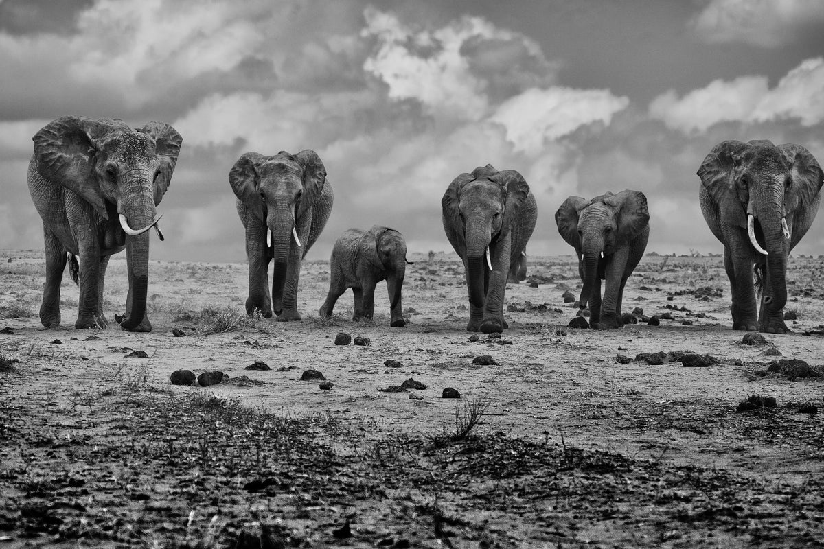 3-piece-acrylic-print-big-family