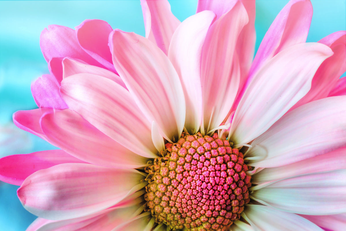 3-piece-acrylic-print-colored-flower