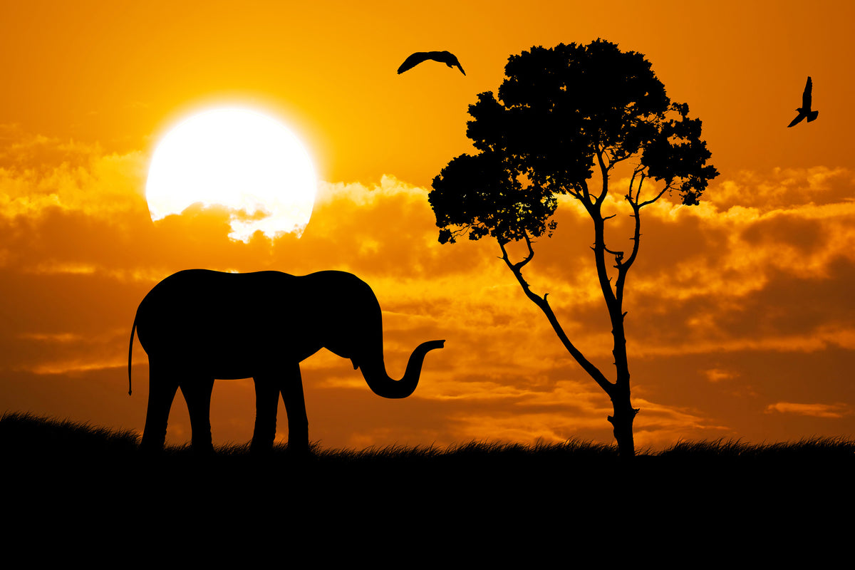 framedcanvas-print-dreamy-africa