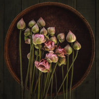 canvas-print-18no
