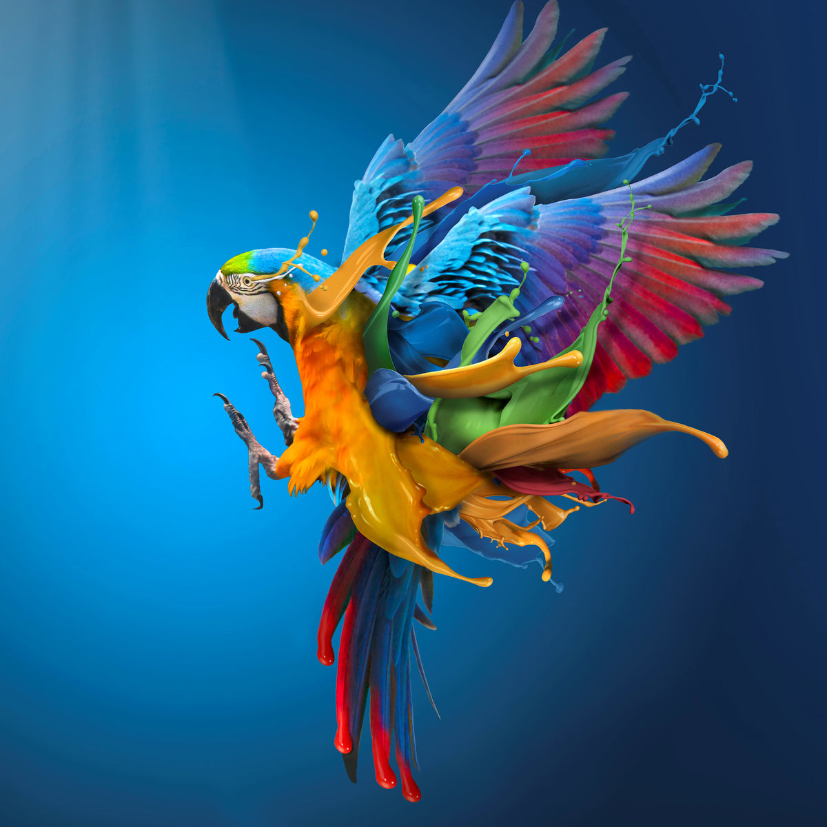 4-piece-canvas-print-flying-colours