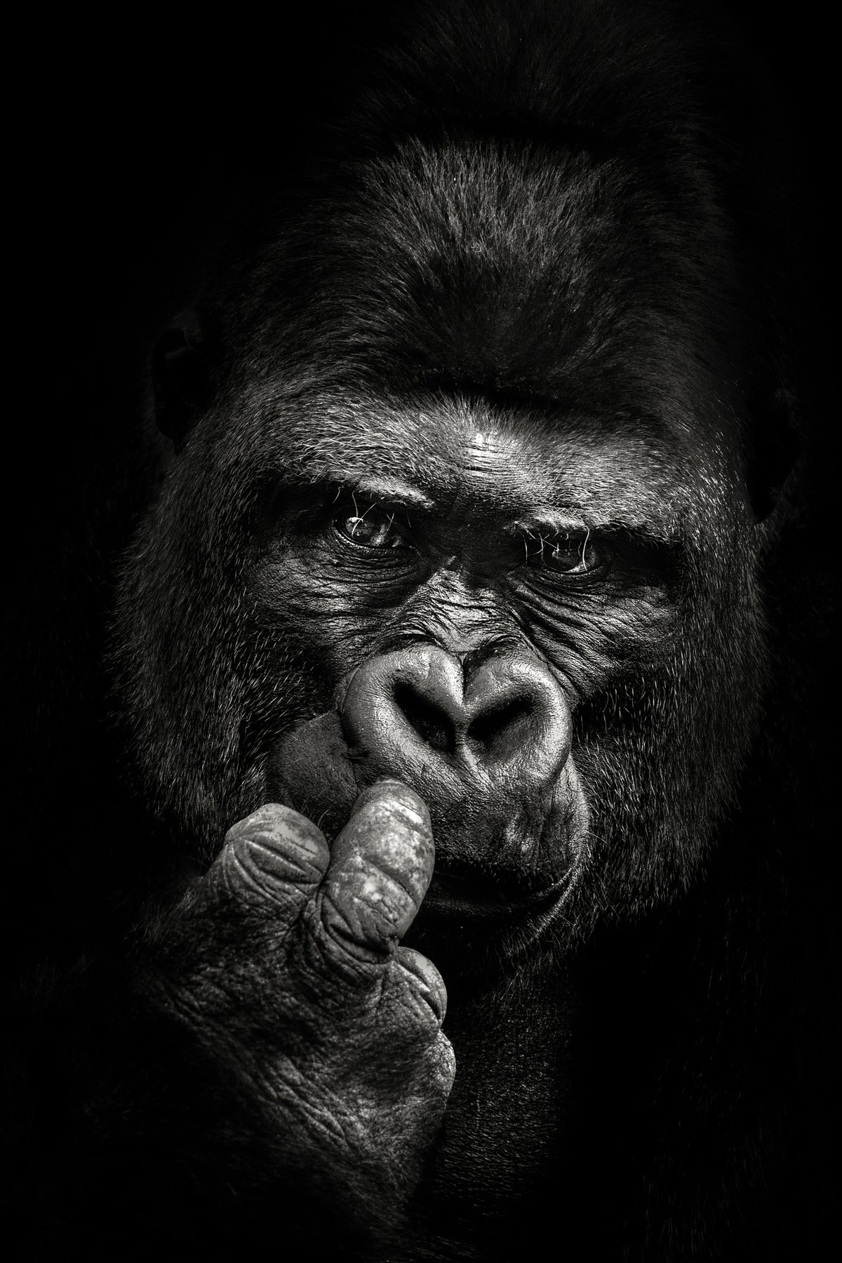 framedposter-print-attitude-x