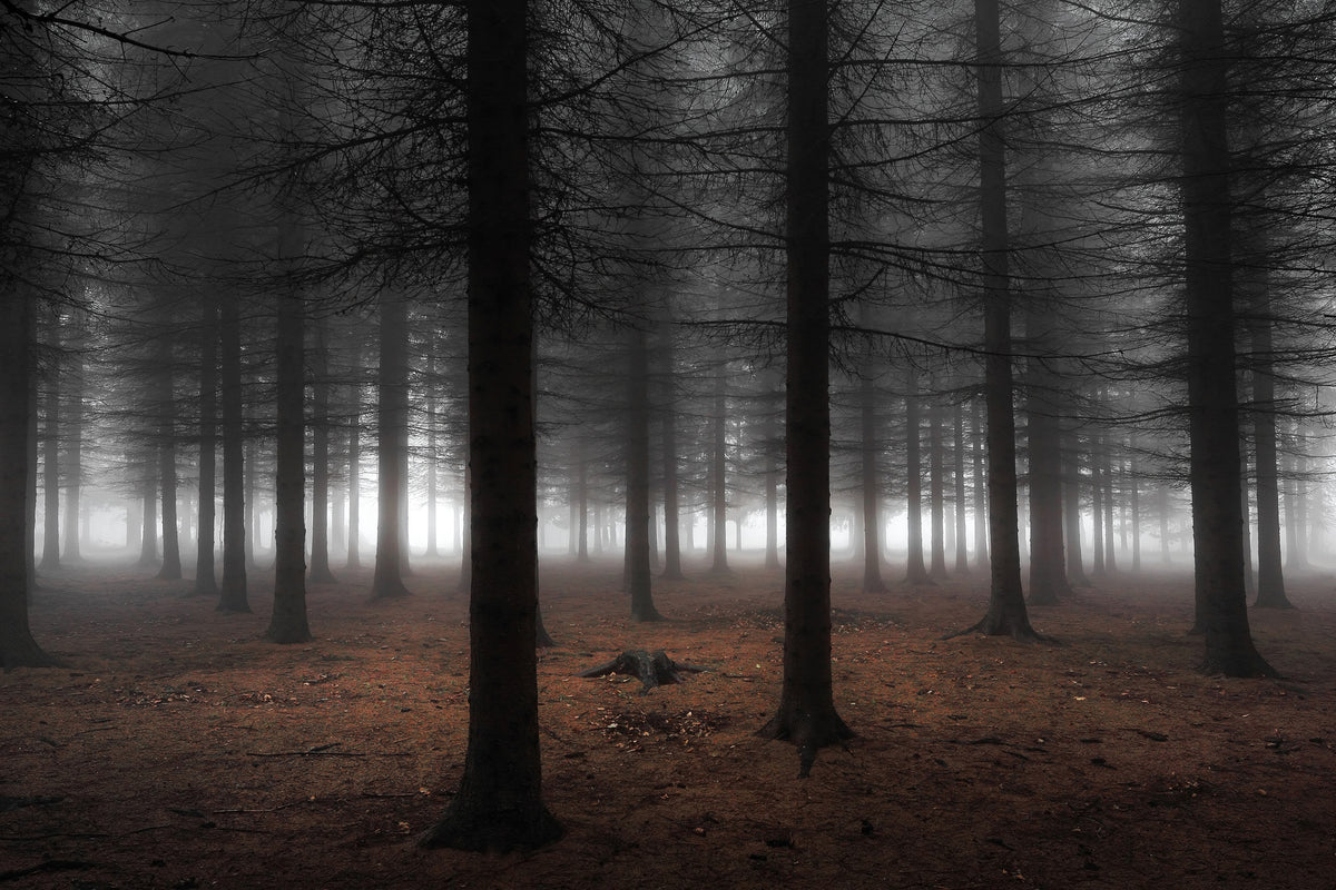 aluminium-print-silence-ii