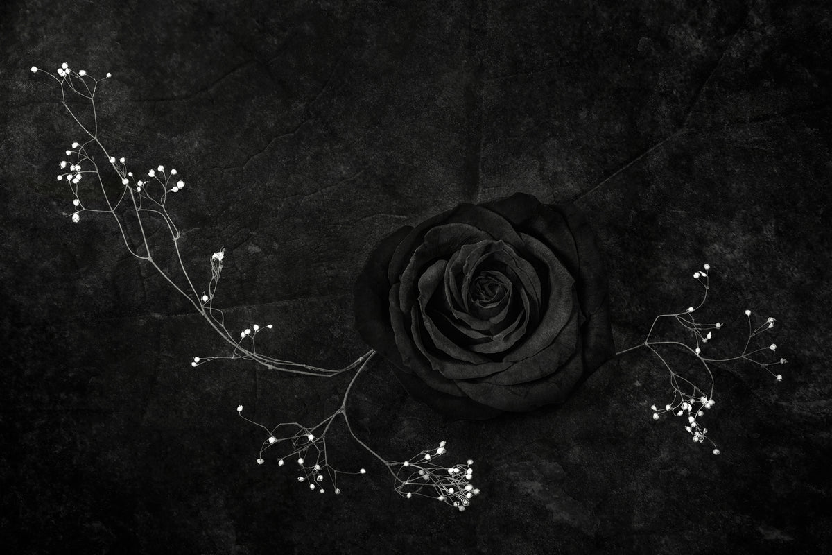modern-3-piece-canvas-print-rose-noire
