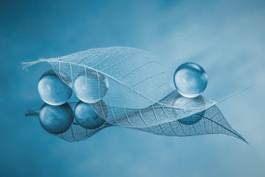 framedcanvas-print-dry-leaf-and-bubbles-x