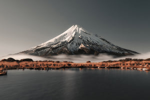 poster-print-aotearoa-x