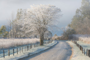 modern-3-piece-aluminium-print-a-frosty-morning