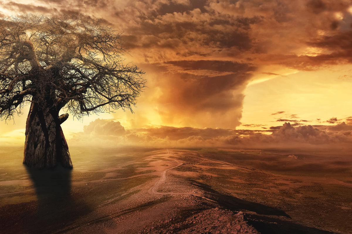 aluminium-print-cyclone-in-the-sunset