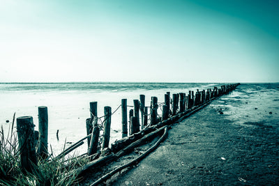 poster-print-mud-flats