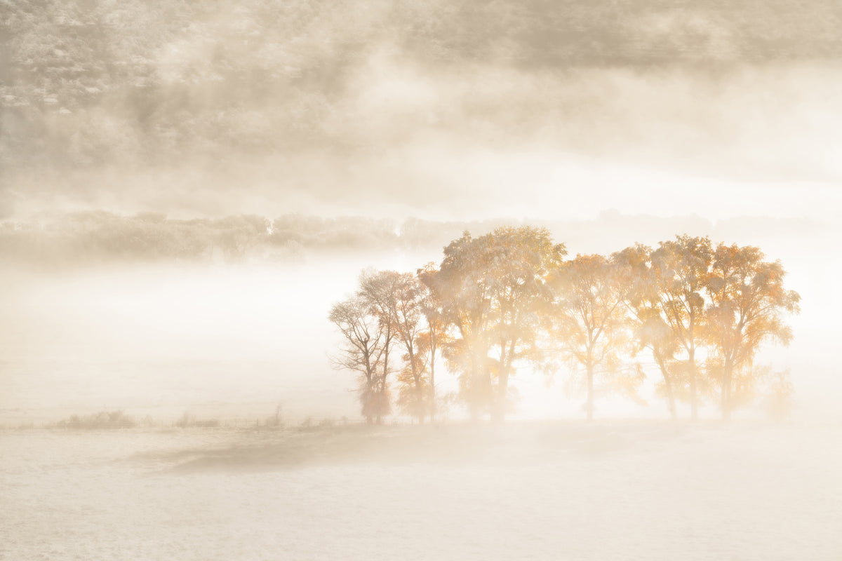 3-piece-acrylic-print-autumn-dreams
