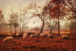 aluminium-print-last-days-of-autumn