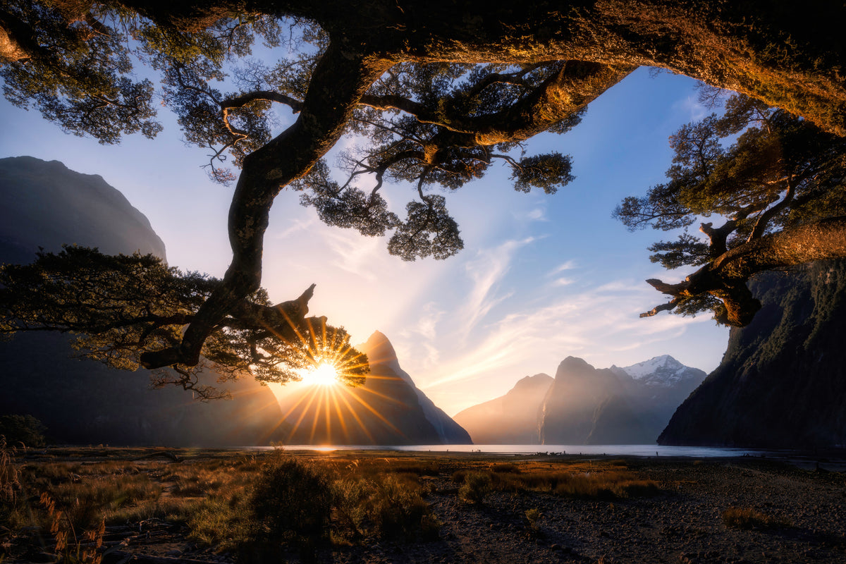 poster-print-sunny-day-in-milford-sound-x