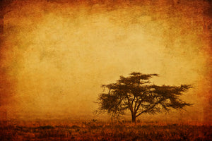 canvas-print-sunset-mood