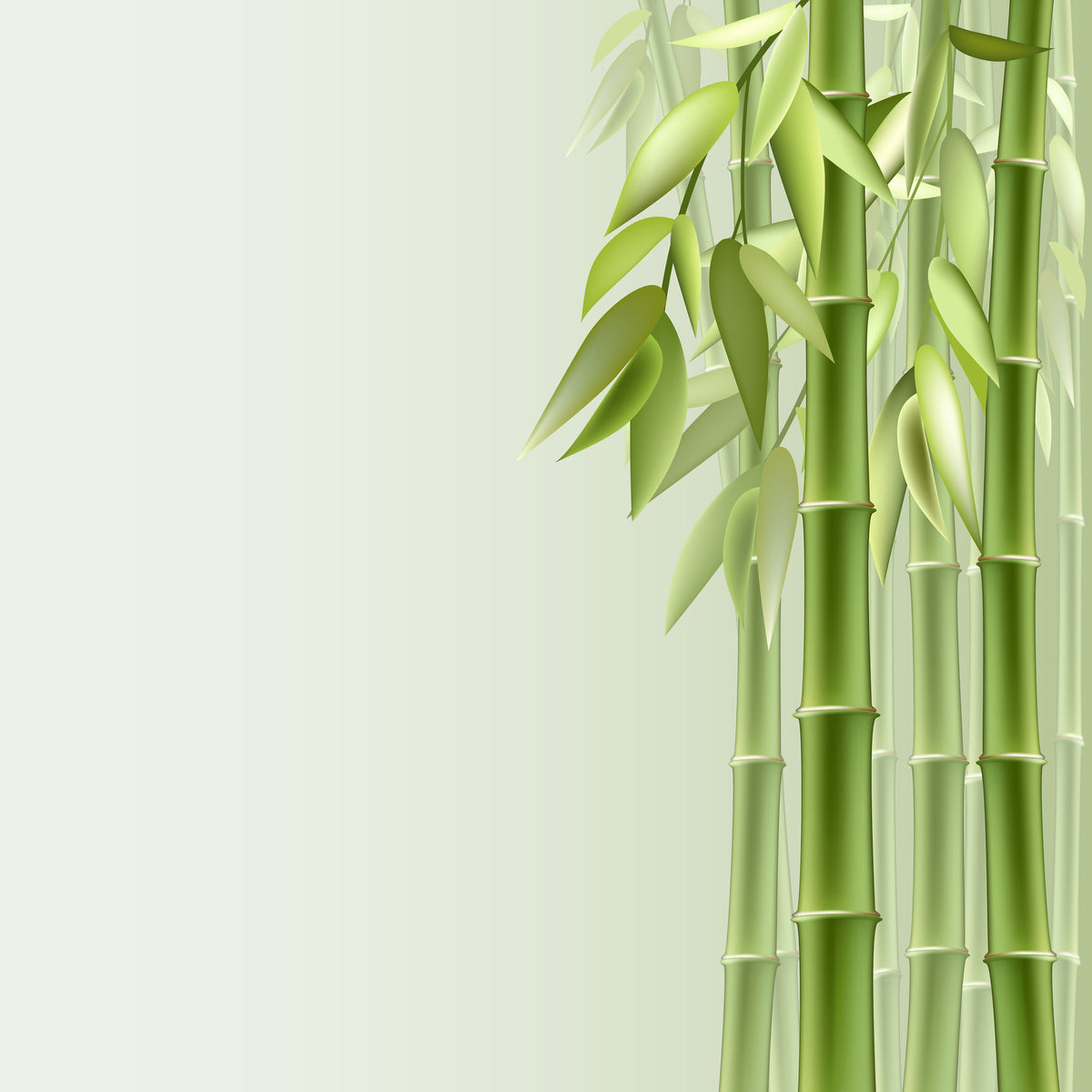 4-piece-canvas-print-green-bamboo