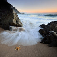 4-piece-canvas-print-summer-flux