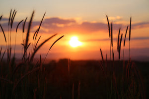 aluminium-print-adorable-sunset