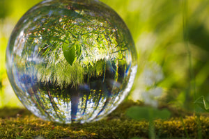 canvas-print-nature-ball