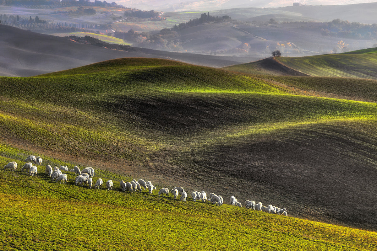 framedposter-print-pastoral-x