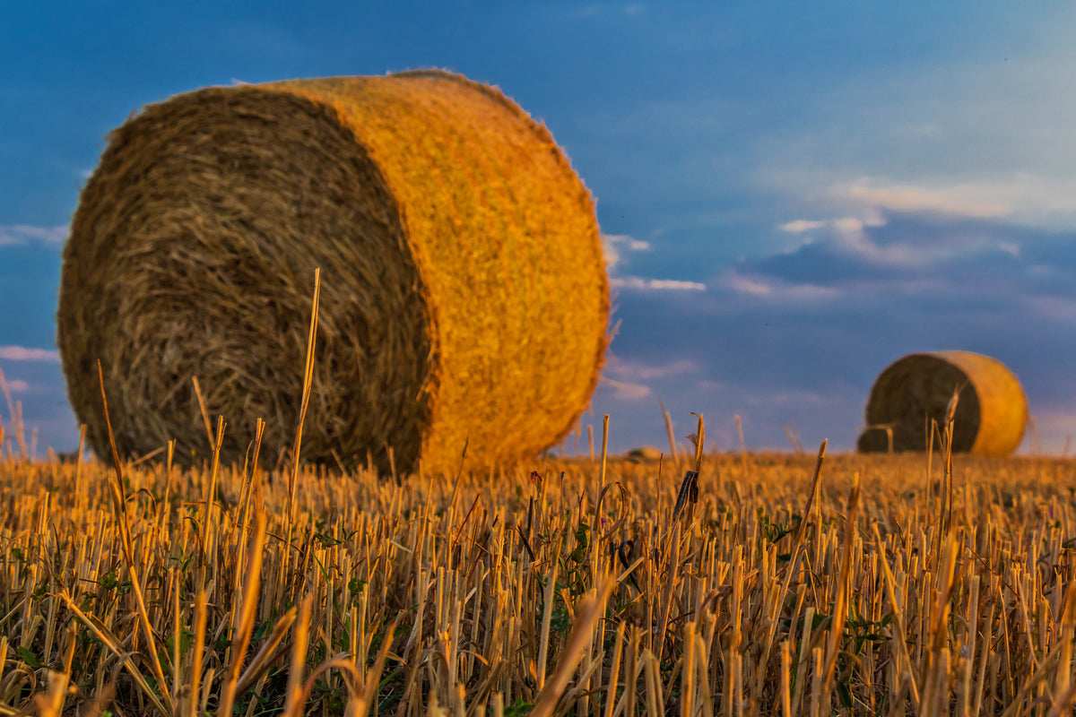 canvas-print-straw-bales