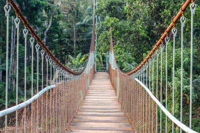 poster-print-bridge-for-the-brave