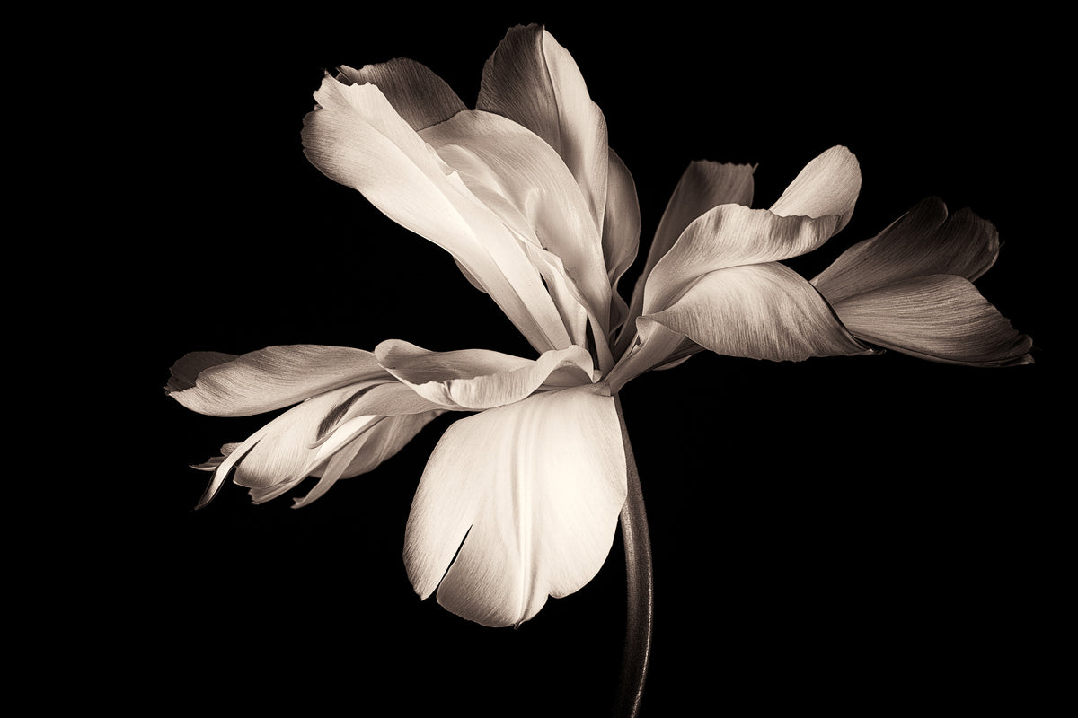 modern-3-piece-acrylic-print-simplicity