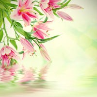 canvas-print-lilies-on-water