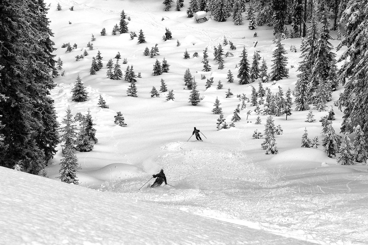 framedposter-print-freeriders-x
