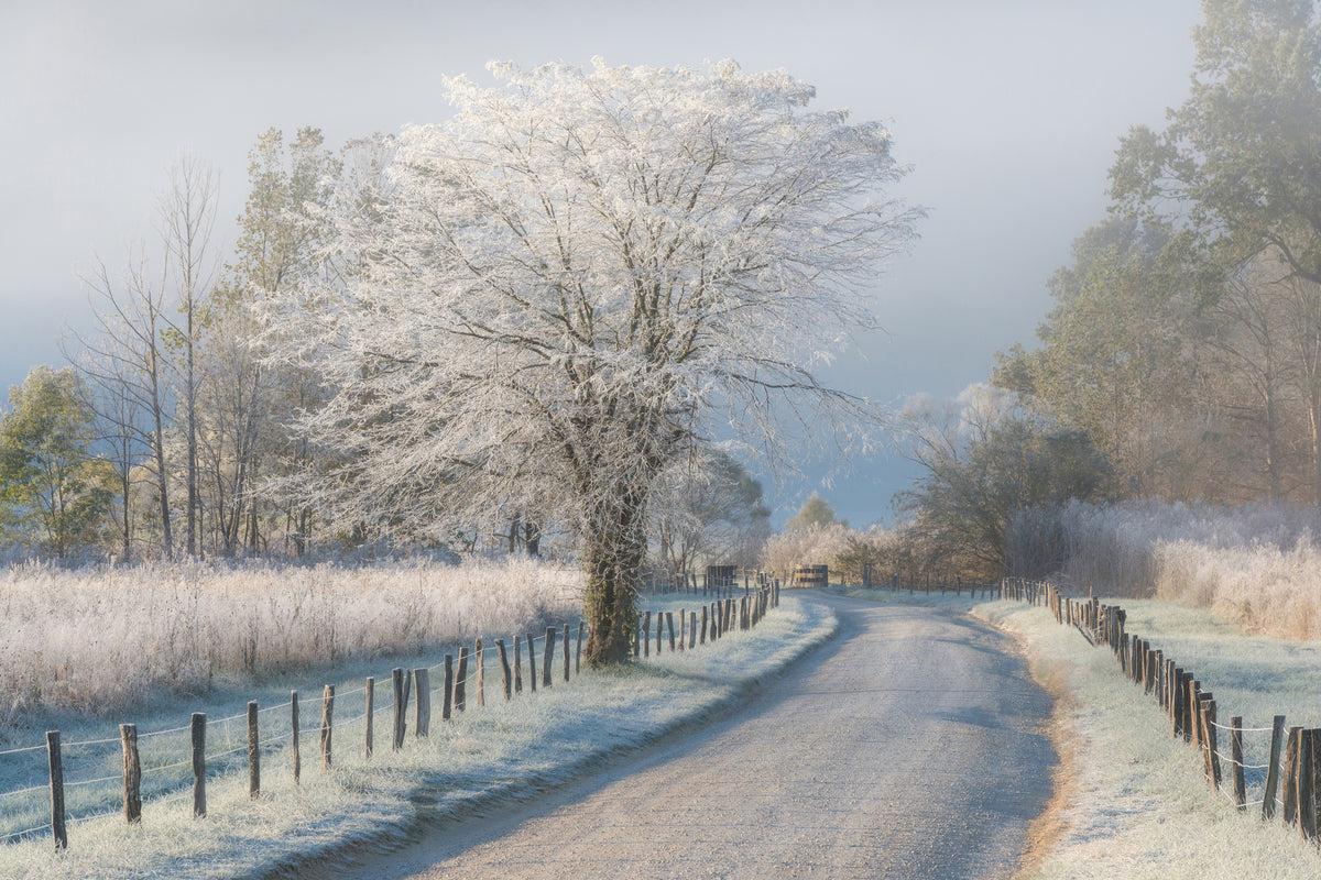 aluminium-print-a-frosty-morning