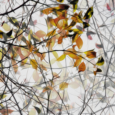 poster-print-autumn-song