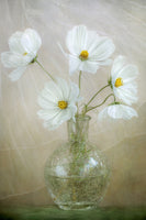 framedposter-print-cosmos-breeze