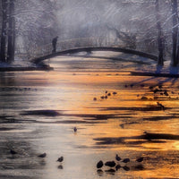 aluminium-print-frozen-lake-x