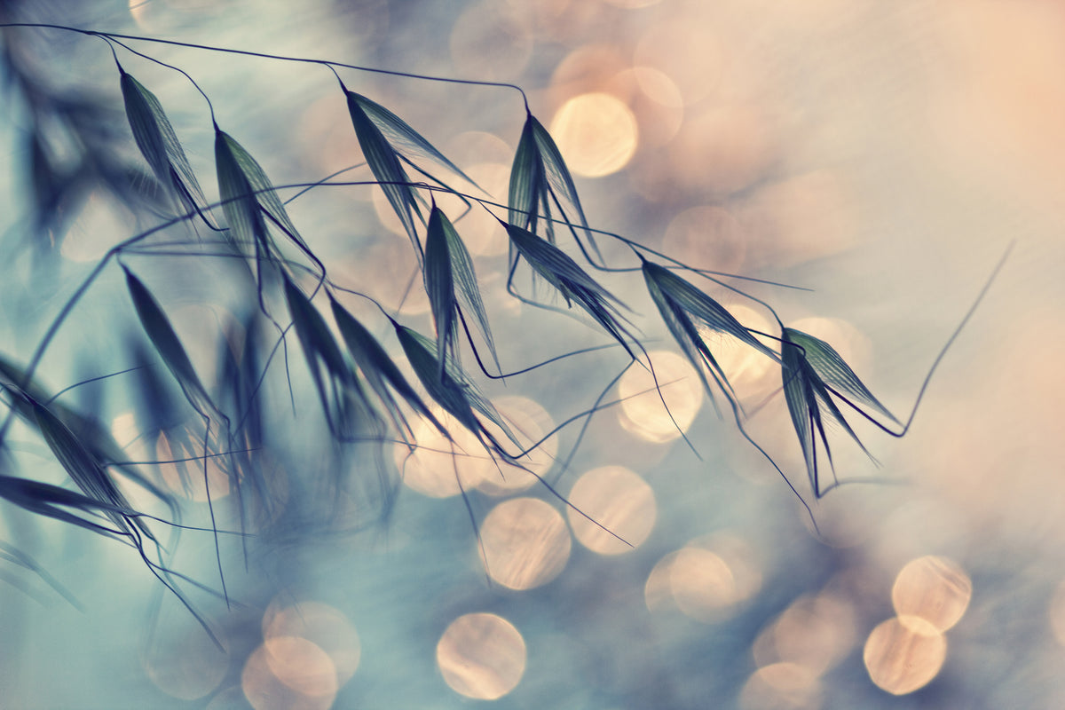 canvas-print-straws