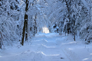 3-piece-aluminium-print-finally-winter