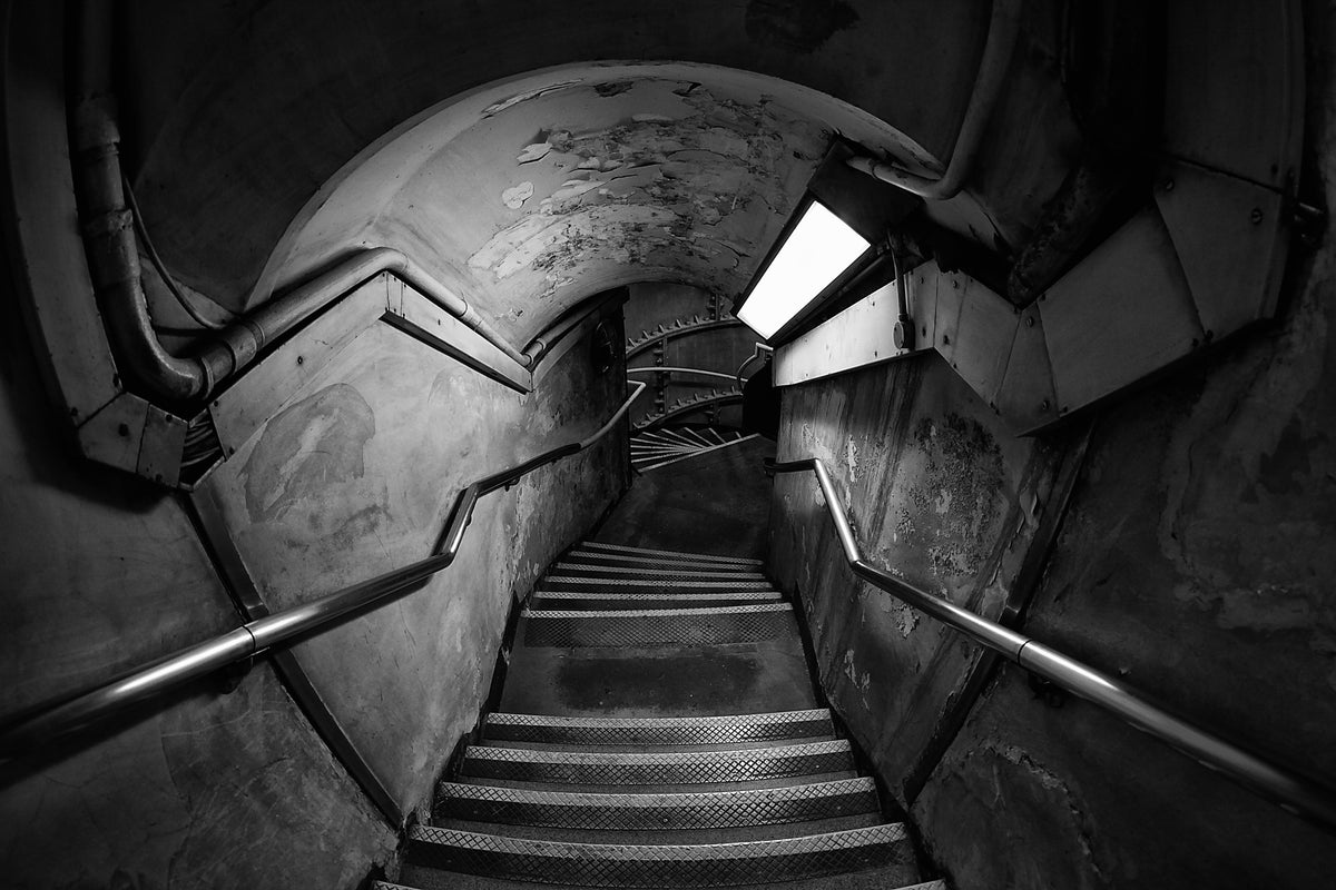 framedposter-print-down-the-rabbit-hole-x