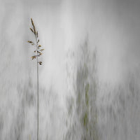 9-piece-acrylic-print-blade-of-grass