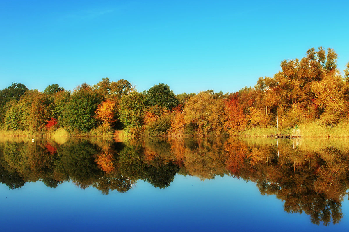 acrylic-print-autumn-reflections