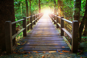 modern-3-piece-aluminium-print-the-bridge-in-the-forest