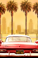 framedcanvas-print-plymouth-savoy-with-palms