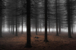 modern-3-piece-acrylic-print-silence-ii