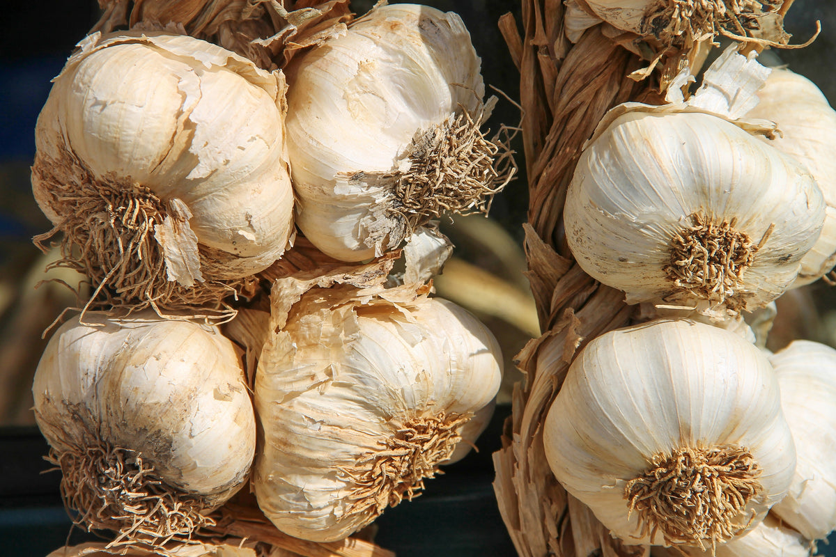 3-piece-canvas-print-the-garlic-xl