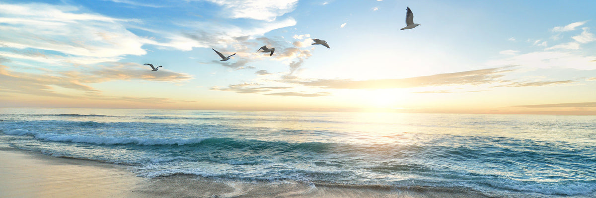 panoramic-canvas-print-the-seagulls-and-the-sea-at-sunrise-31-panorama