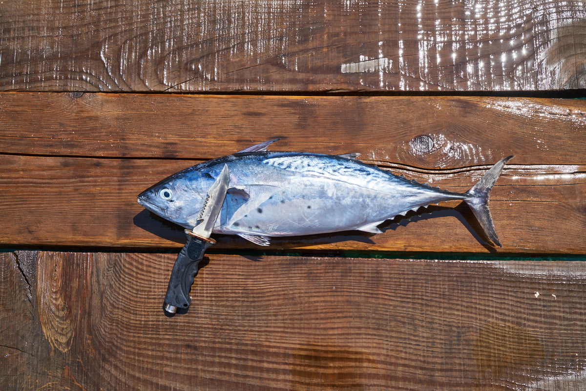 3-piece-canvas-print-the-fresh-fish