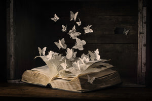 aluminium-print-lepidopterology