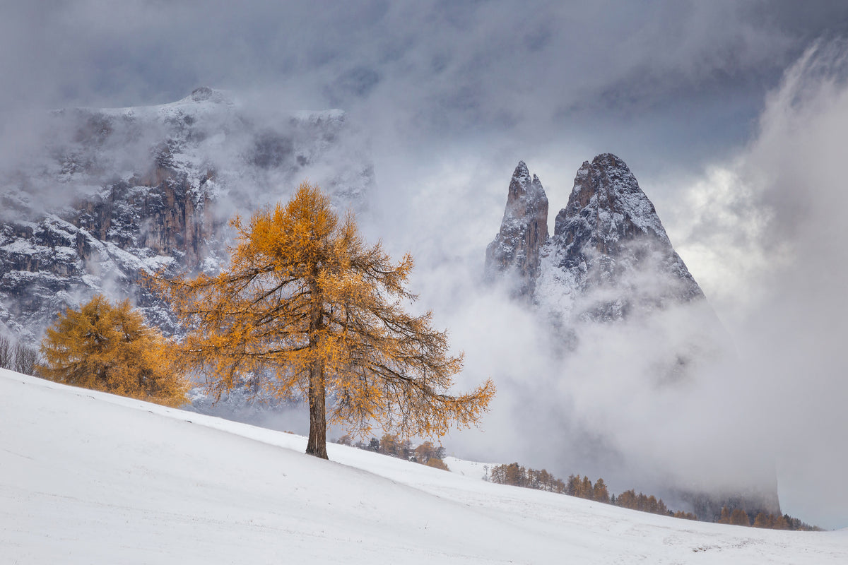 framedcanvas-print-between-seasons-x