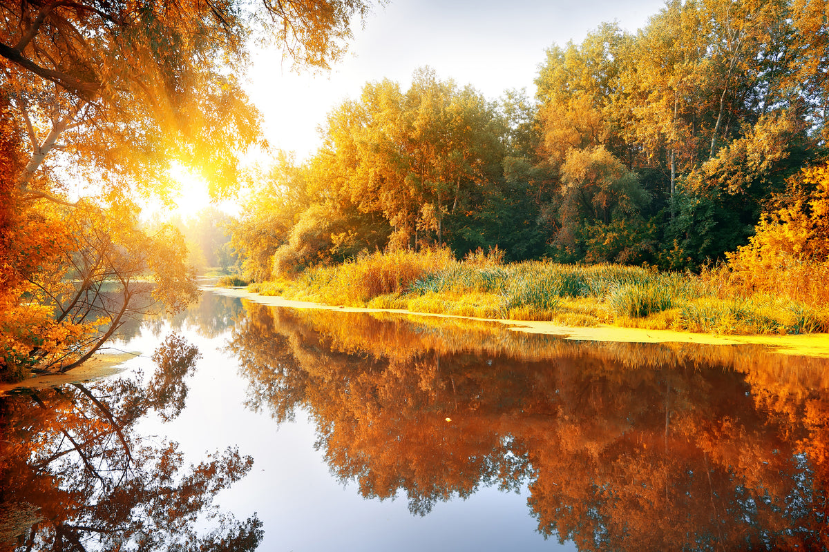 modern-3-piece-canvas-print-forest-reflection-in-water